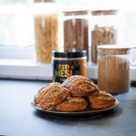 White Nights With Sauna And Grill * Parnu